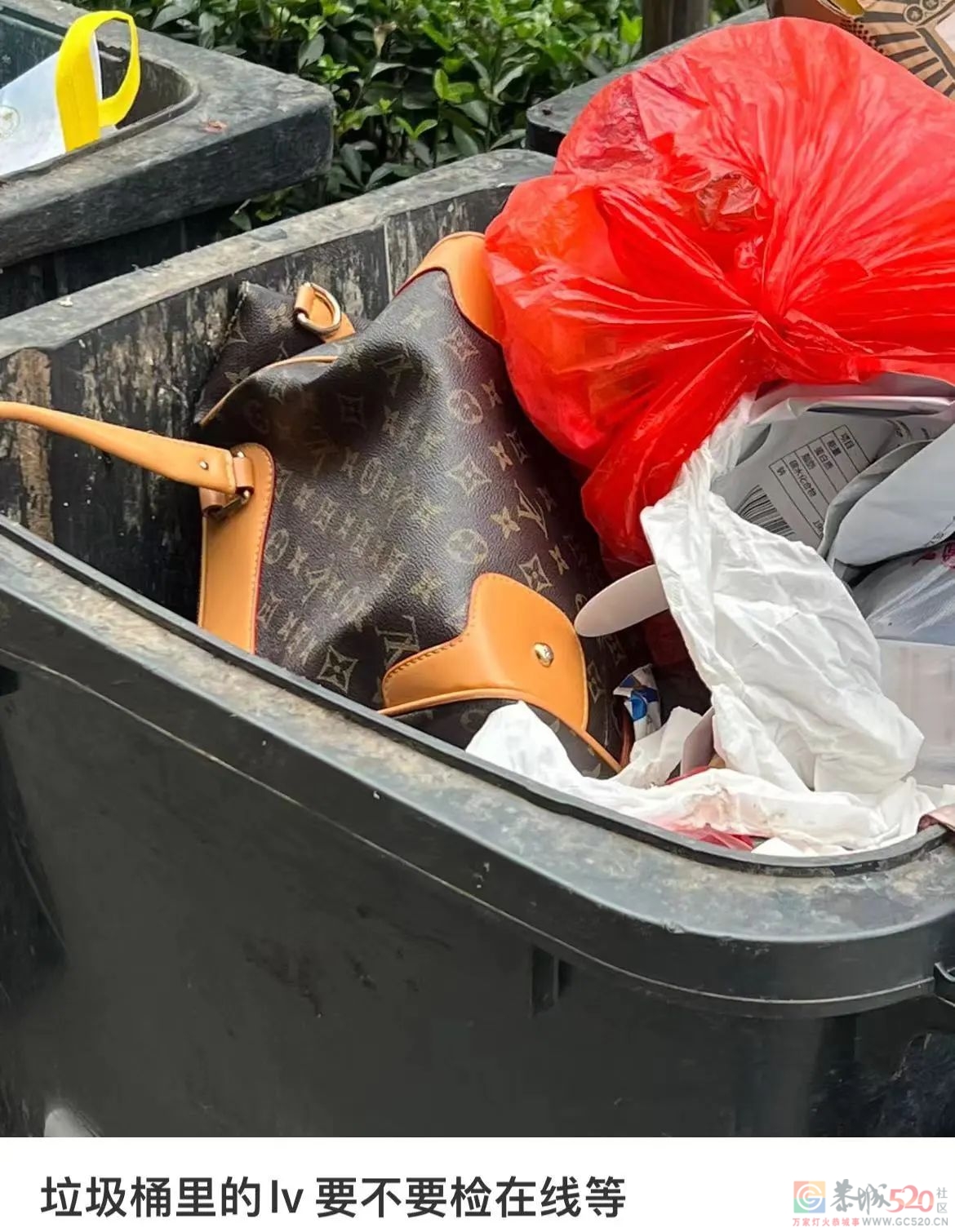 情人节的垃圾桶边，长满了等着捡漏的单身狗155 / 作者:儿时的回忆 / 帖子ID:304270