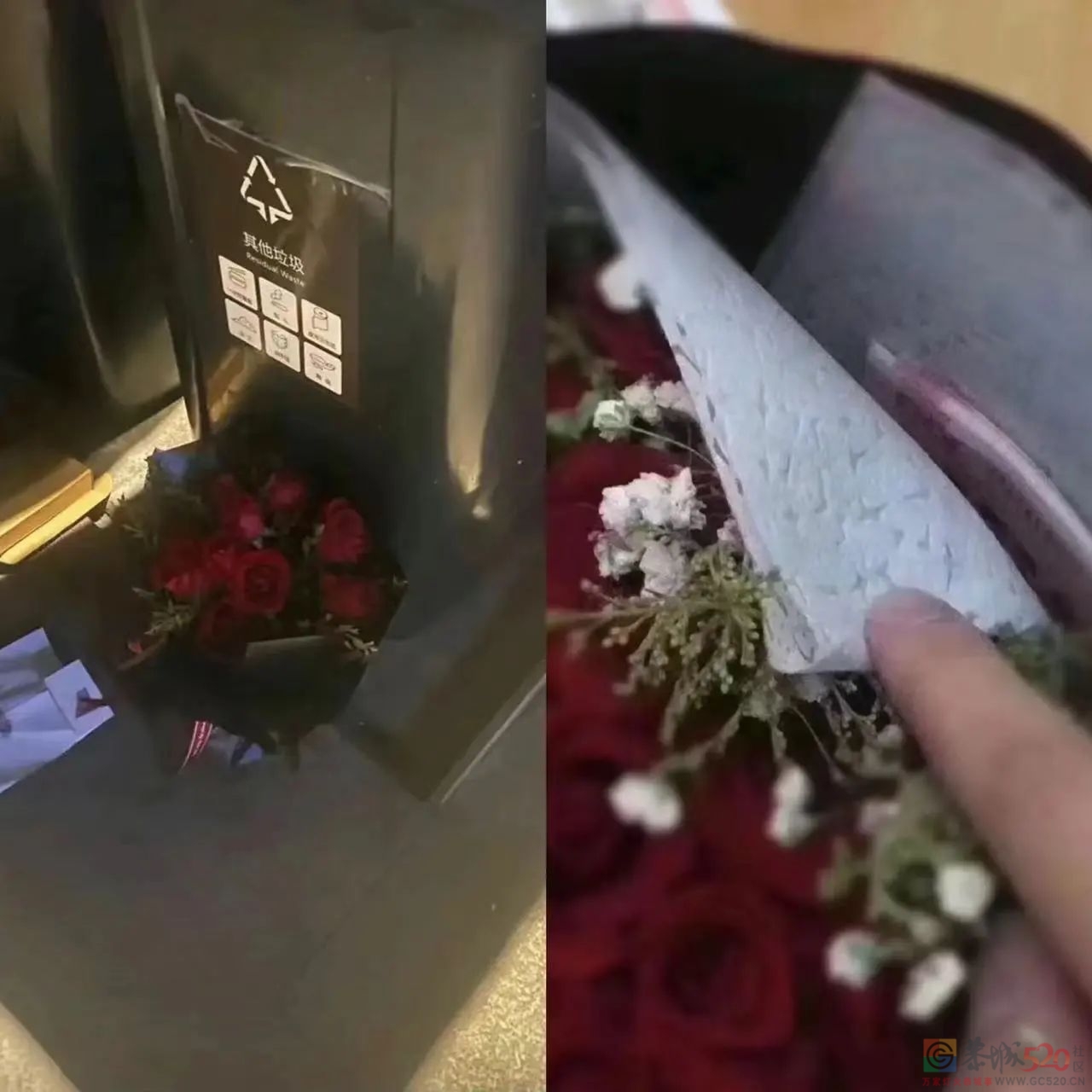 情人节的垃圾桶边，长满了等着捡漏的单身狗396 / 作者:儿时的回忆 / 帖子ID:304270