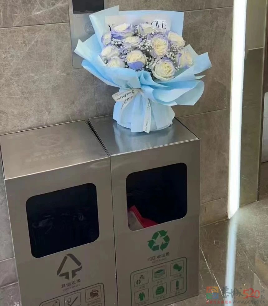 情人节的垃圾桶边，长满了等着捡漏的单身狗907 / 作者:儿时的回忆 / 帖子ID:304270