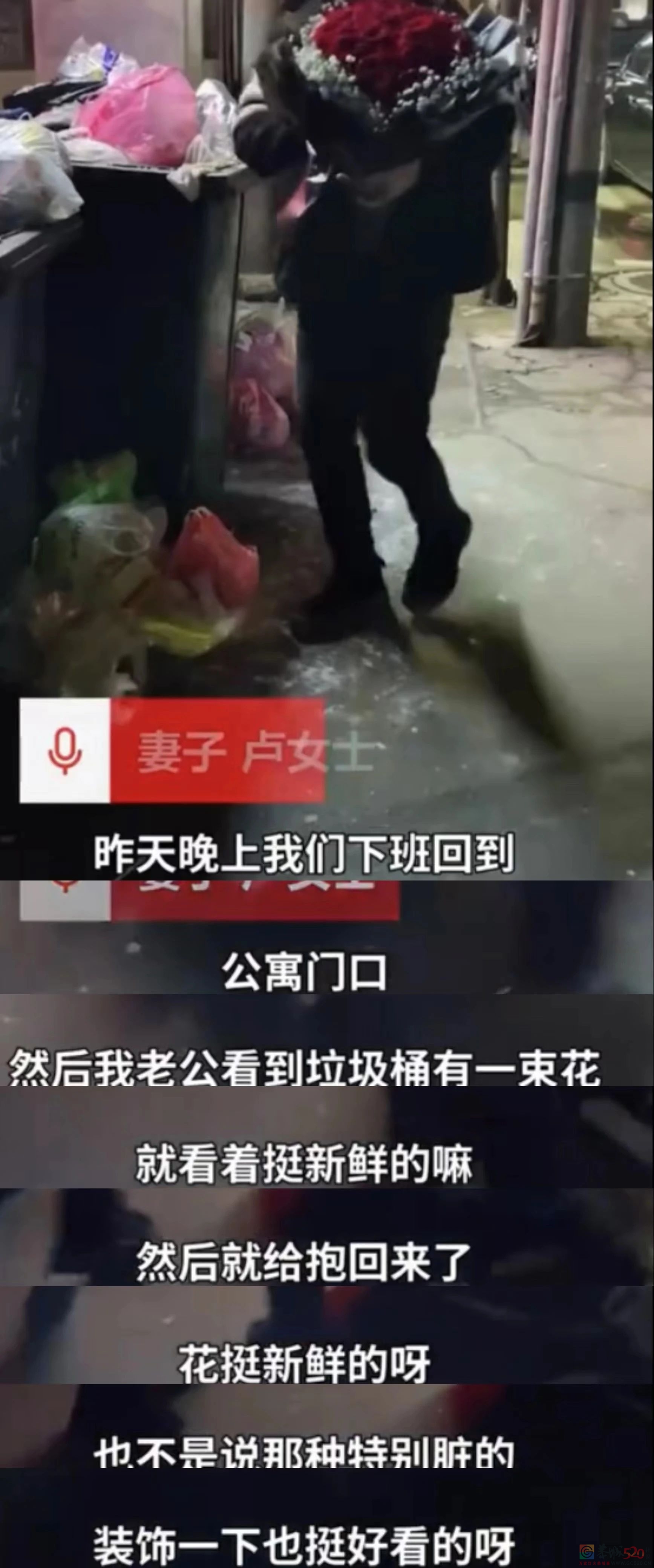 情人节的垃圾桶边，长满了等着捡漏的单身狗851 / 作者:儿时的回忆 / 帖子ID:304270