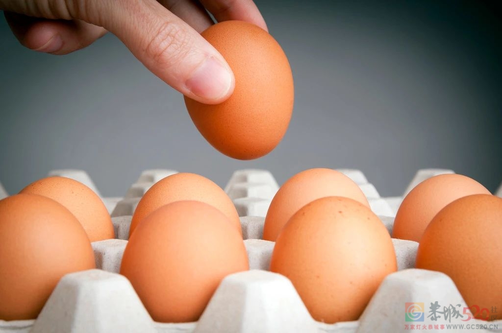 每天吃一个鸡蛋的人，两种慢病风险都降低了244 / 作者:健康小天使 / 帖子ID:304666