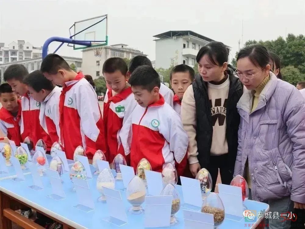 筑牢禁毒防线 守护校园净土——恭城县城一小开展系列禁毒宣传教育活动232 / 作者:论坛小编01 / 帖子ID:304728