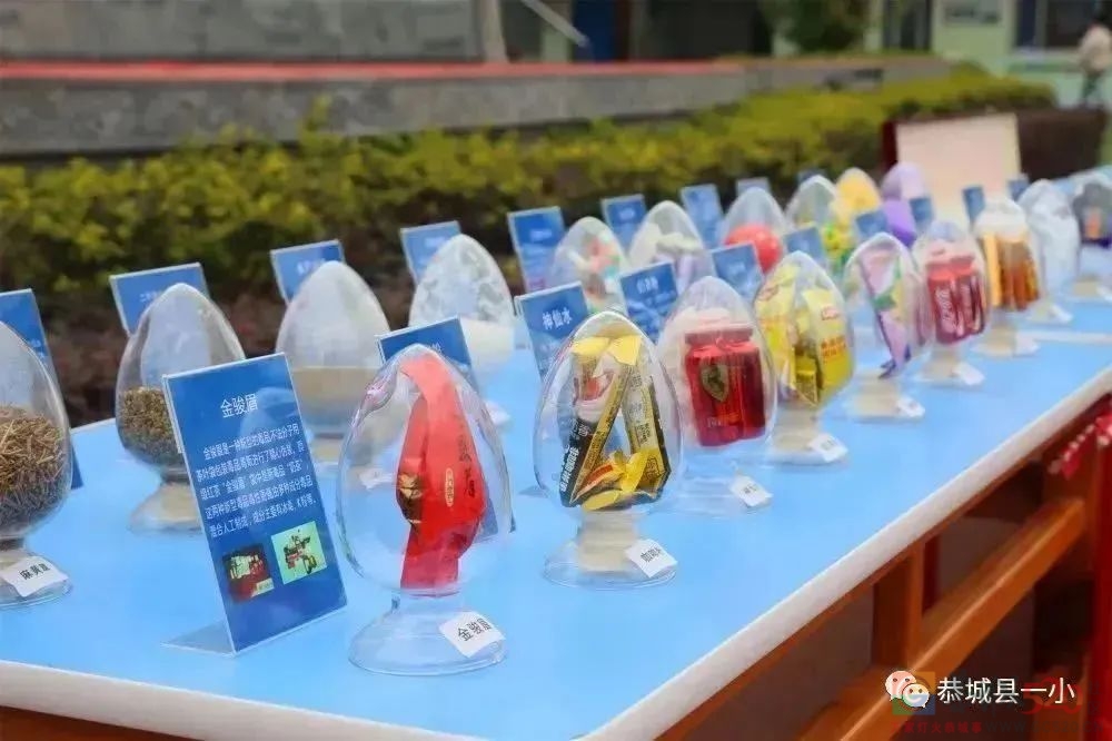 筑牢禁毒防线 守护校园净土——恭城县城一小开展系列禁毒宣传教育活动73 / 作者:论坛小编01 / 帖子ID:304728