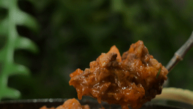 用8只番茄，不加水，炖牛肉，快去试。496 / 作者:爱生活爱美食 / 帖子ID:304766