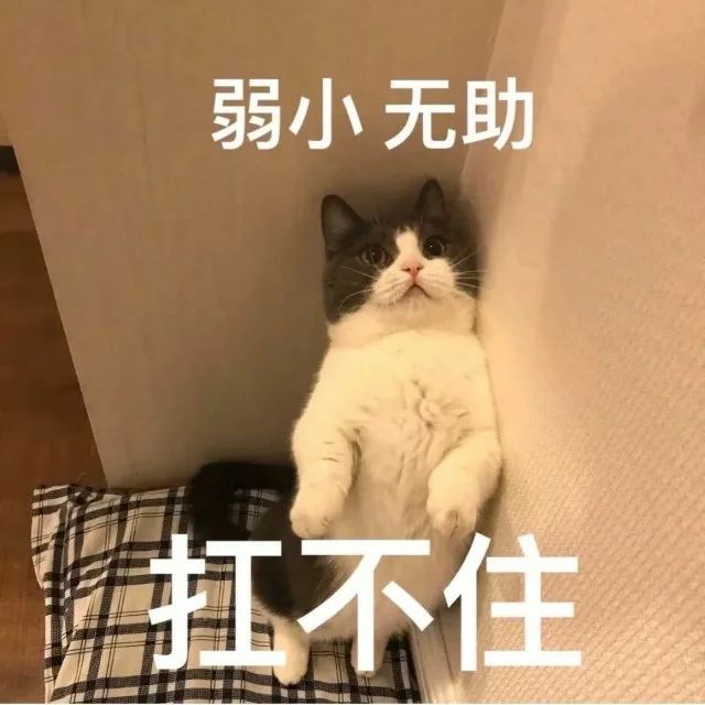 打工人必修课！遇到老板倒地，你该怎么办？（不是掐人中）692 / 作者:健康小天使 / 帖子ID:305080