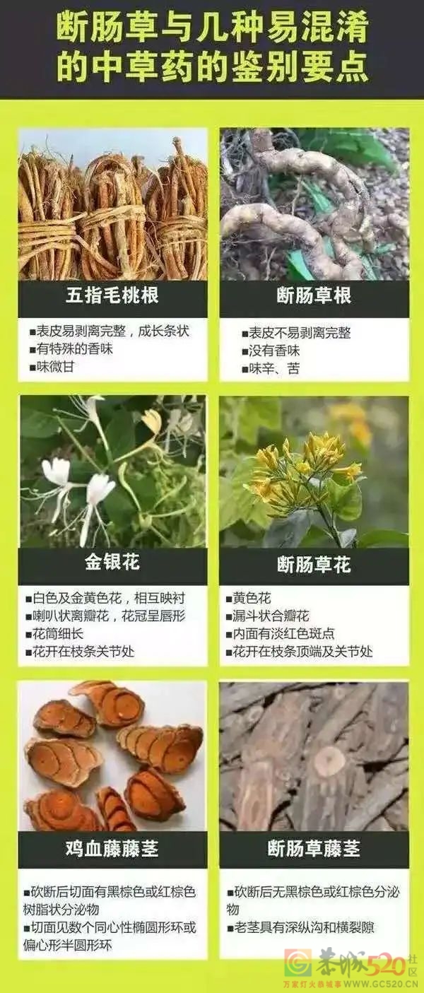 突发！3人发病，1人死亡！广东卫健委通报336 / 作者:健康小天使 / 帖子ID:305298
