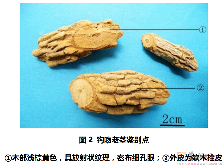 突发！3人发病，1人死亡！广东卫健委通报419 / 作者:健康小天使 / 帖子ID:305298