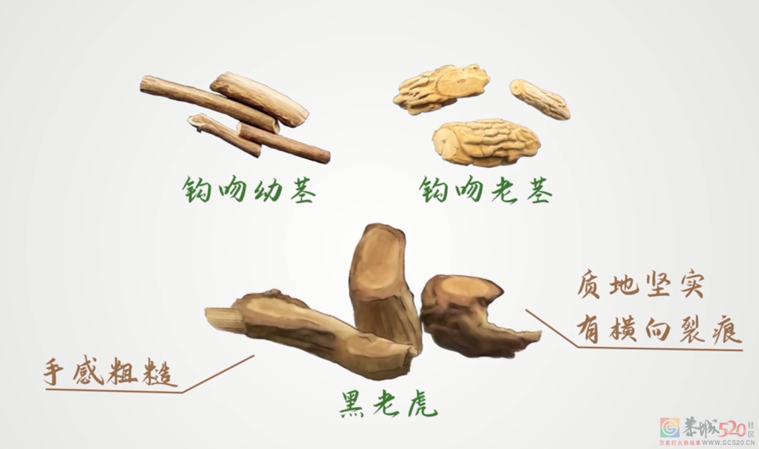 突发！3人发病，1人死亡！广东卫健委通报779 / 作者:健康小天使 / 帖子ID:305298