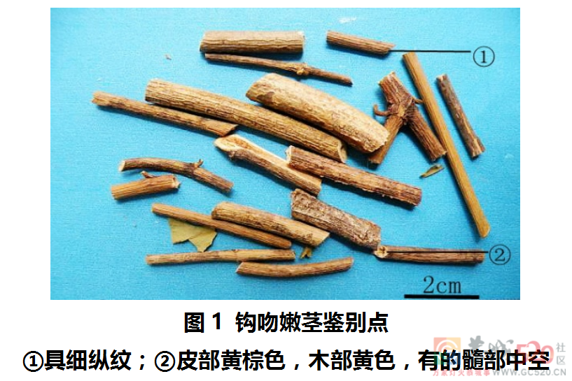 突发！3人发病，1人死亡！广东卫健委通报377 / 作者:健康小天使 / 帖子ID:305298