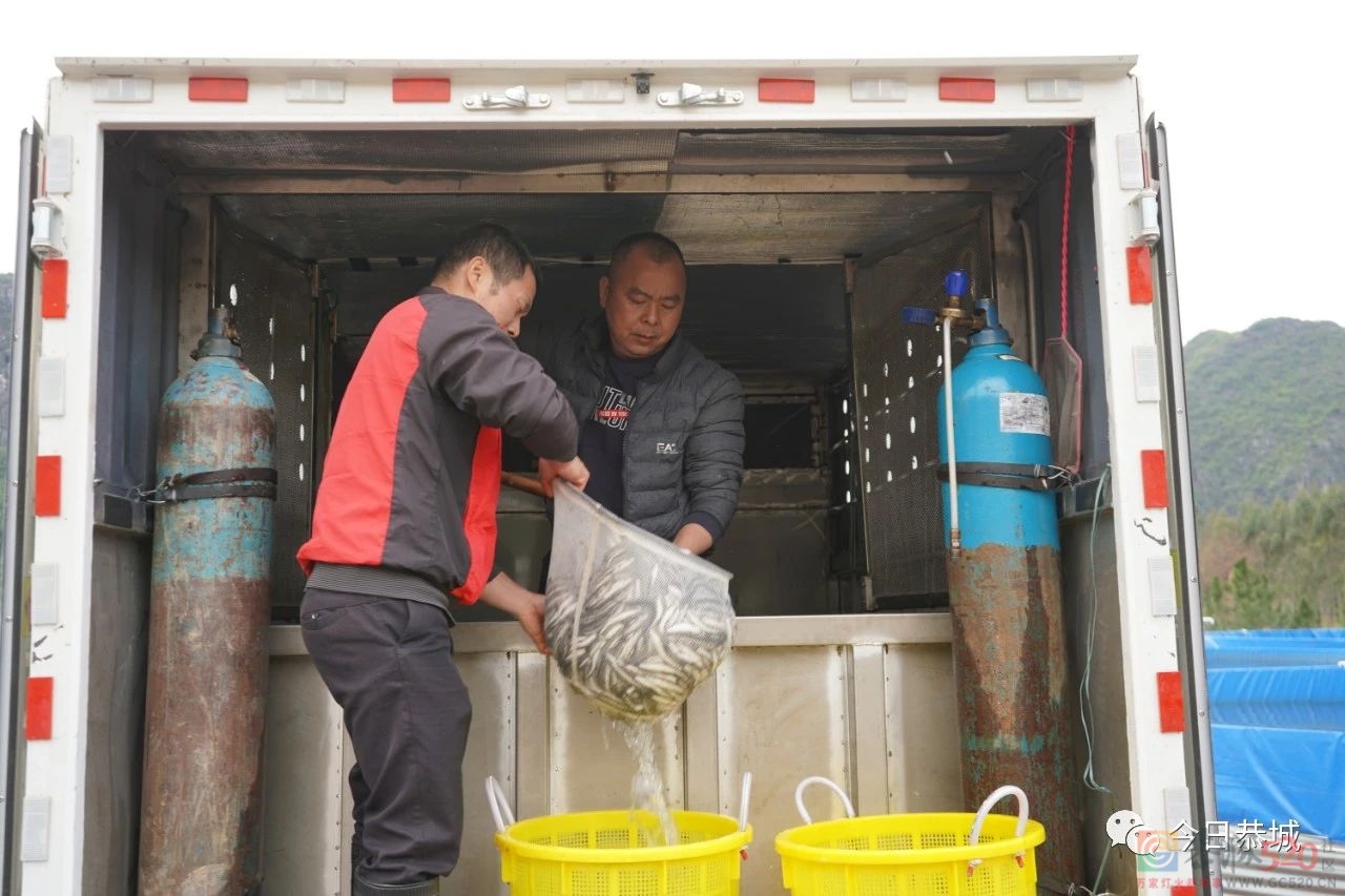 嘉会镇：水循环高密度养鱼助力乡村振兴364 / 作者:论坛小编01 / 帖子ID:305582
