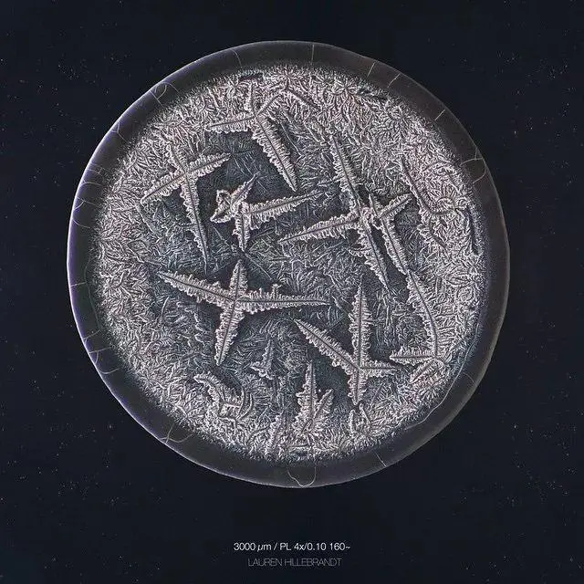 人类出生就自带的技能——哭，原来还能“治病”28 / 作者:健康小天使 / 帖子ID:305605