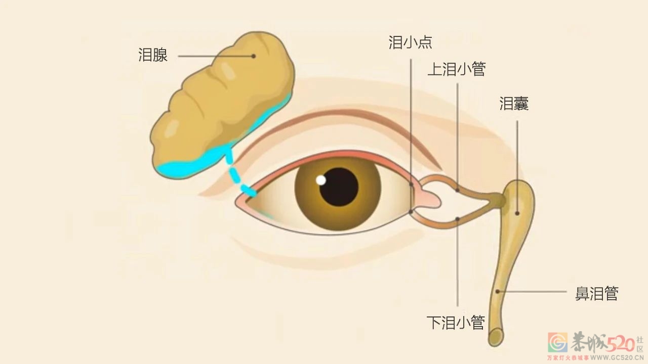 人类出生就自带的技能——哭，原来还能“治病”781 / 作者:健康小天使 / 帖子ID:305605