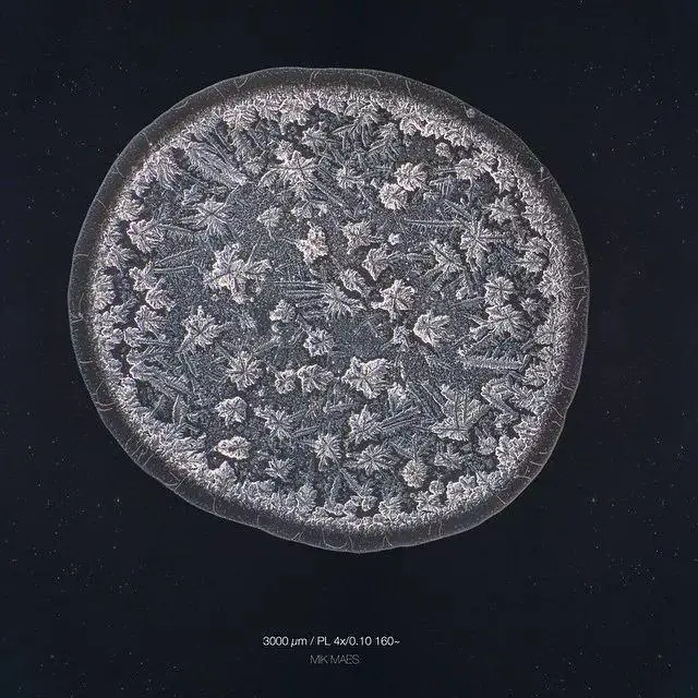 人类出生就自带的技能——哭，原来还能“治病”311 / 作者:健康小天使 / 帖子ID:305605