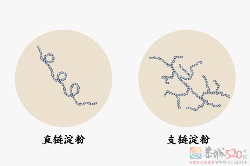 糯米到底好不好消化？「温度」起了关键作用792 / 作者:健康小天使 / 帖子ID:305729