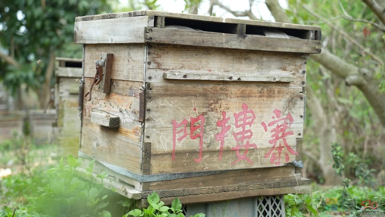 独家“探蜜”！祖传技艺他竟倾囊相授——4月7日21：20广西卫视《乡村振兴新农人》764 / 作者:论坛小编01 / 帖子ID:305747