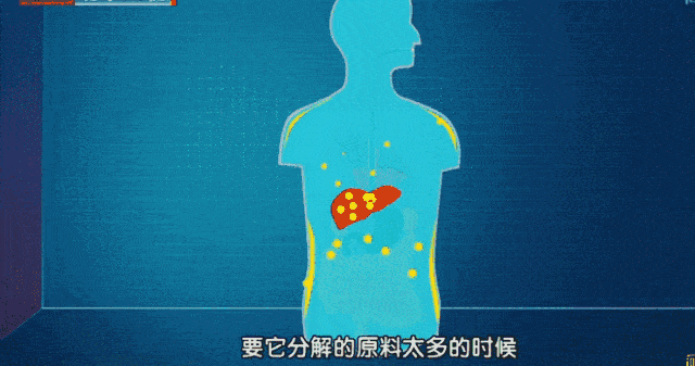 一个意想不到的“养肝”方法：练肌肉231 / 作者:健康小天使 / 帖子ID:305850