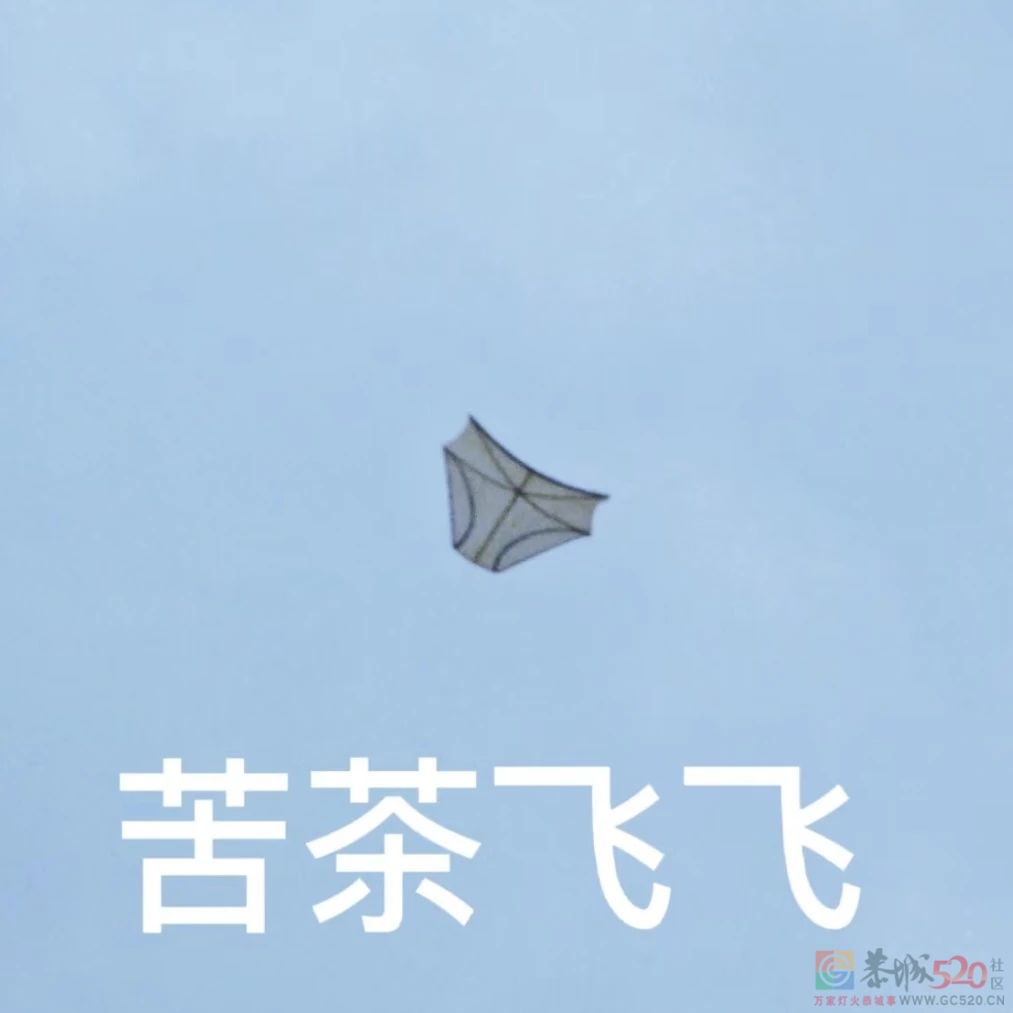 打工人想骂的街，都在山东潍坊的风筝上发疯904 / 作者:儿时的回忆 / 帖子ID:306030