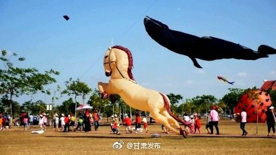 打工人想骂的街，都在山东潍坊的风筝上发疯999 / 作者:儿时的回忆 / 帖子ID:306030