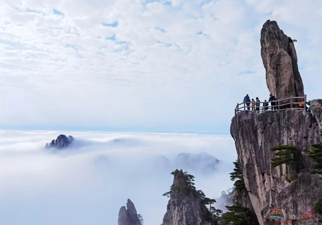 古 人 诚 不 欺 我 ！102 / 作者:登山涉水 / 帖子ID:306085