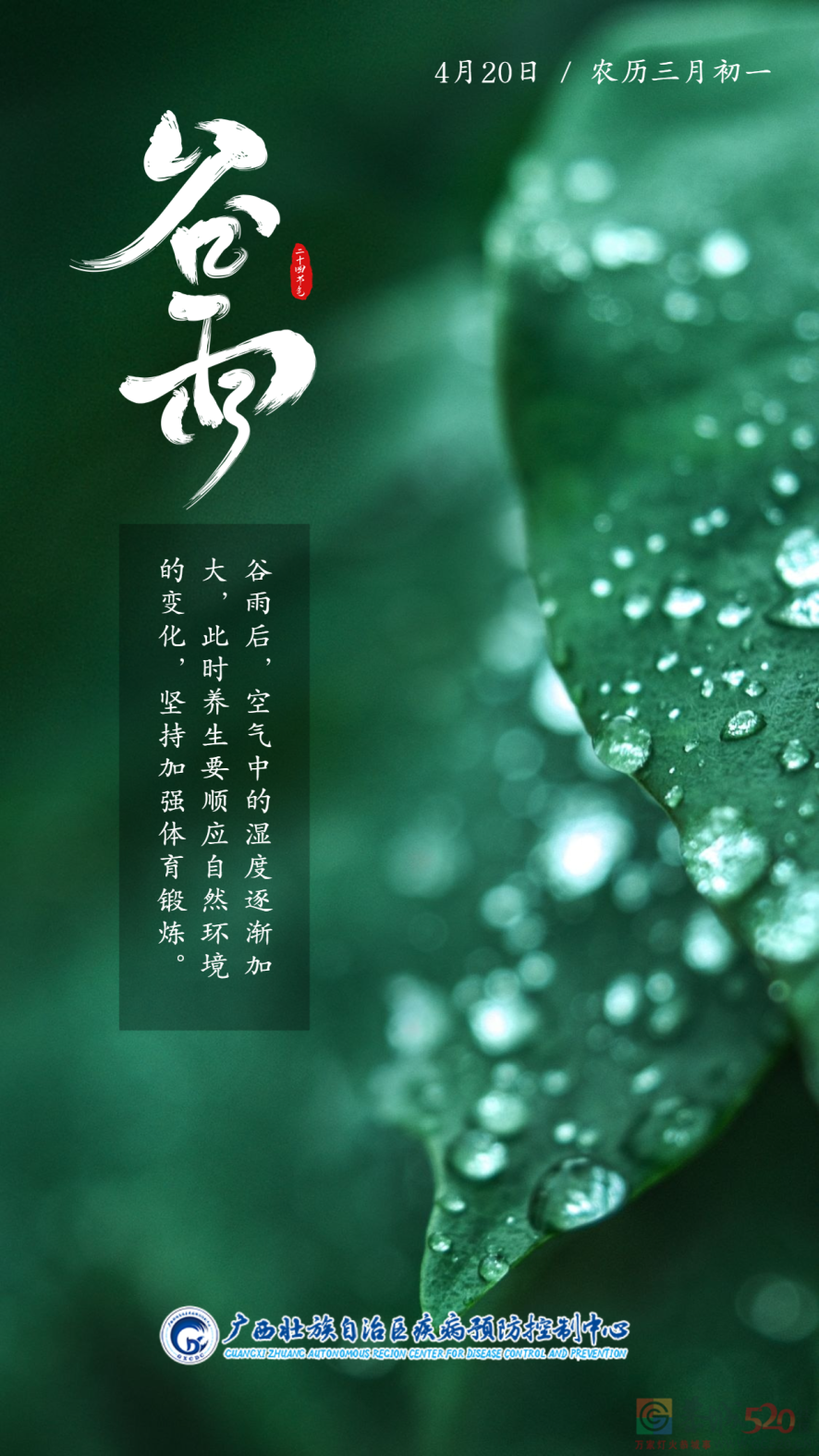谷雨 | 春天的最后一次回眸933 / 作者:健康小天使 / 帖子ID:306087