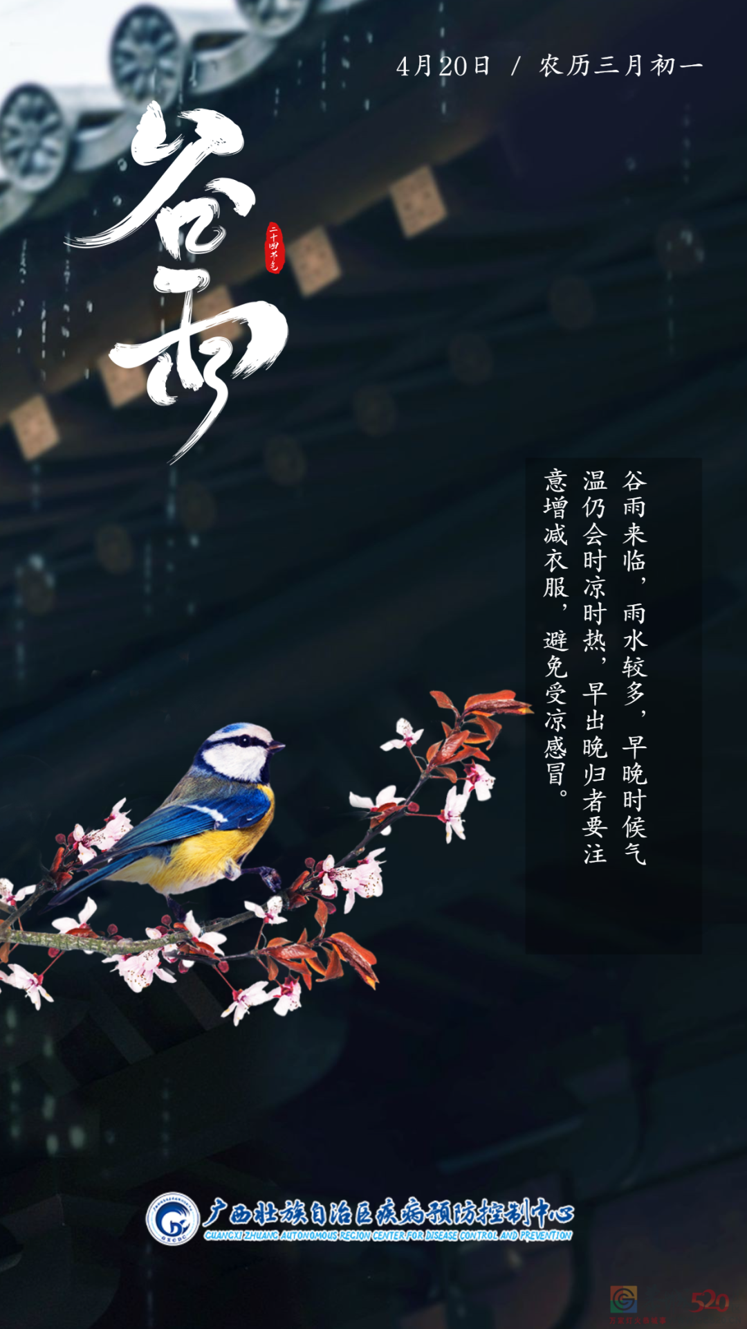 谷雨 | 春天的最后一次回眸179 / 作者:健康小天使 / 帖子ID:306087