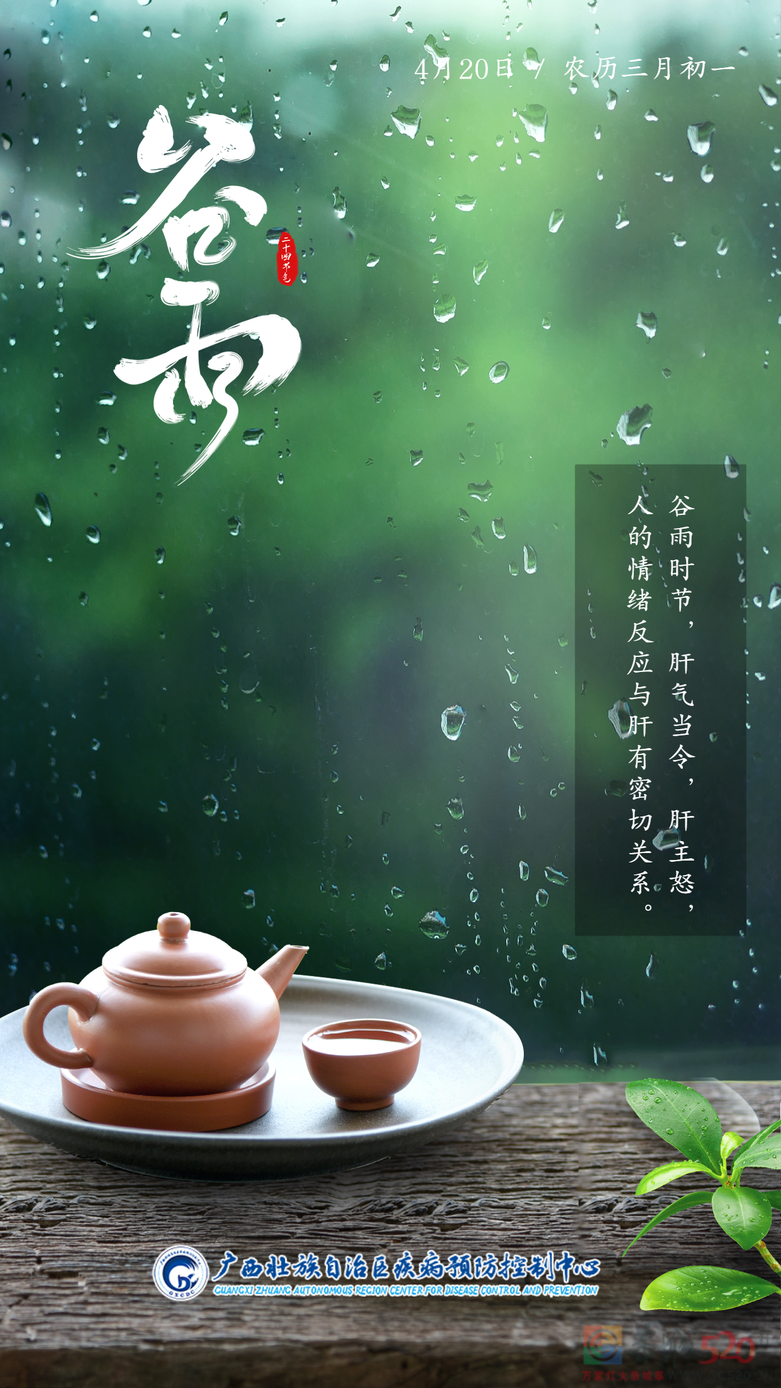 谷雨 | 春天的最后一次回眸754 / 作者:健康小天使 / 帖子ID:306087