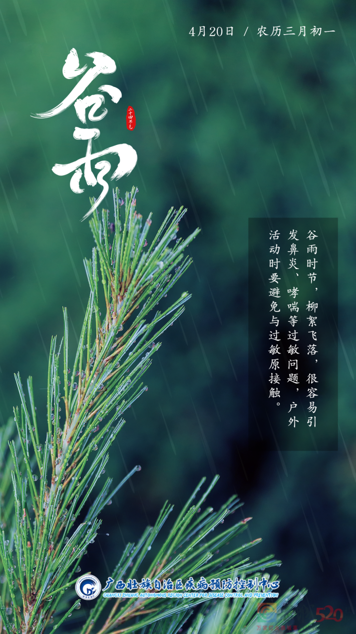 谷雨 | 春天的最后一次回眸819 / 作者:健康小天使 / 帖子ID:306087