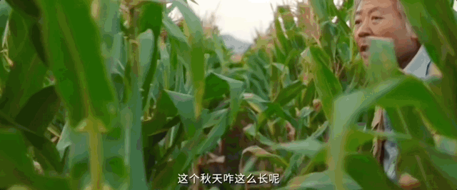刚大结局冲到9.4，我们头一回用文学夸国产悬疑515 / 作者:该做的事情 / 帖子ID:306398