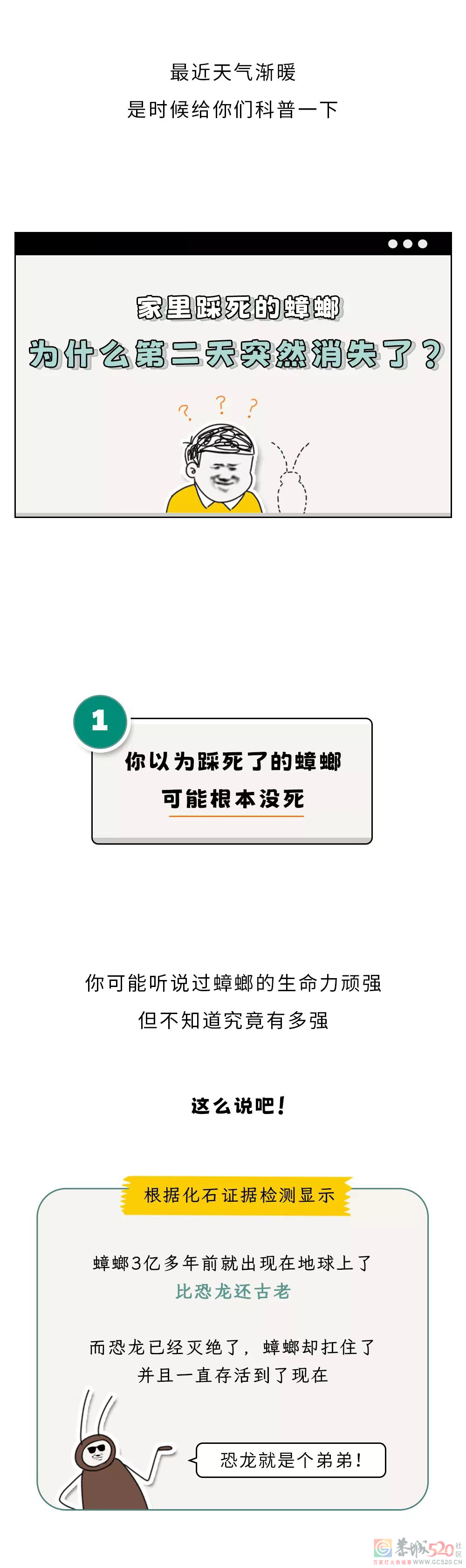 家里踩死的蟑螂，为什么第二天突然消失了？693 / 作者:健康小天使 / 帖子ID:306505