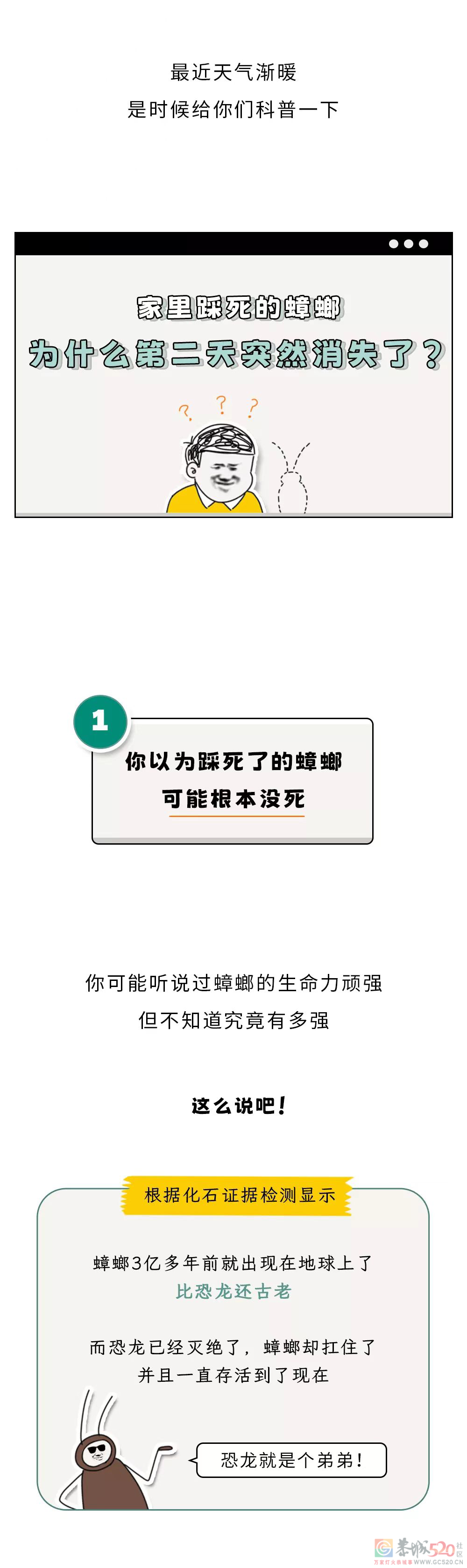 家里踩死的蟑螂，为什么第二天突然消失了？588 / 作者:健康小天使 / 帖子ID:306505