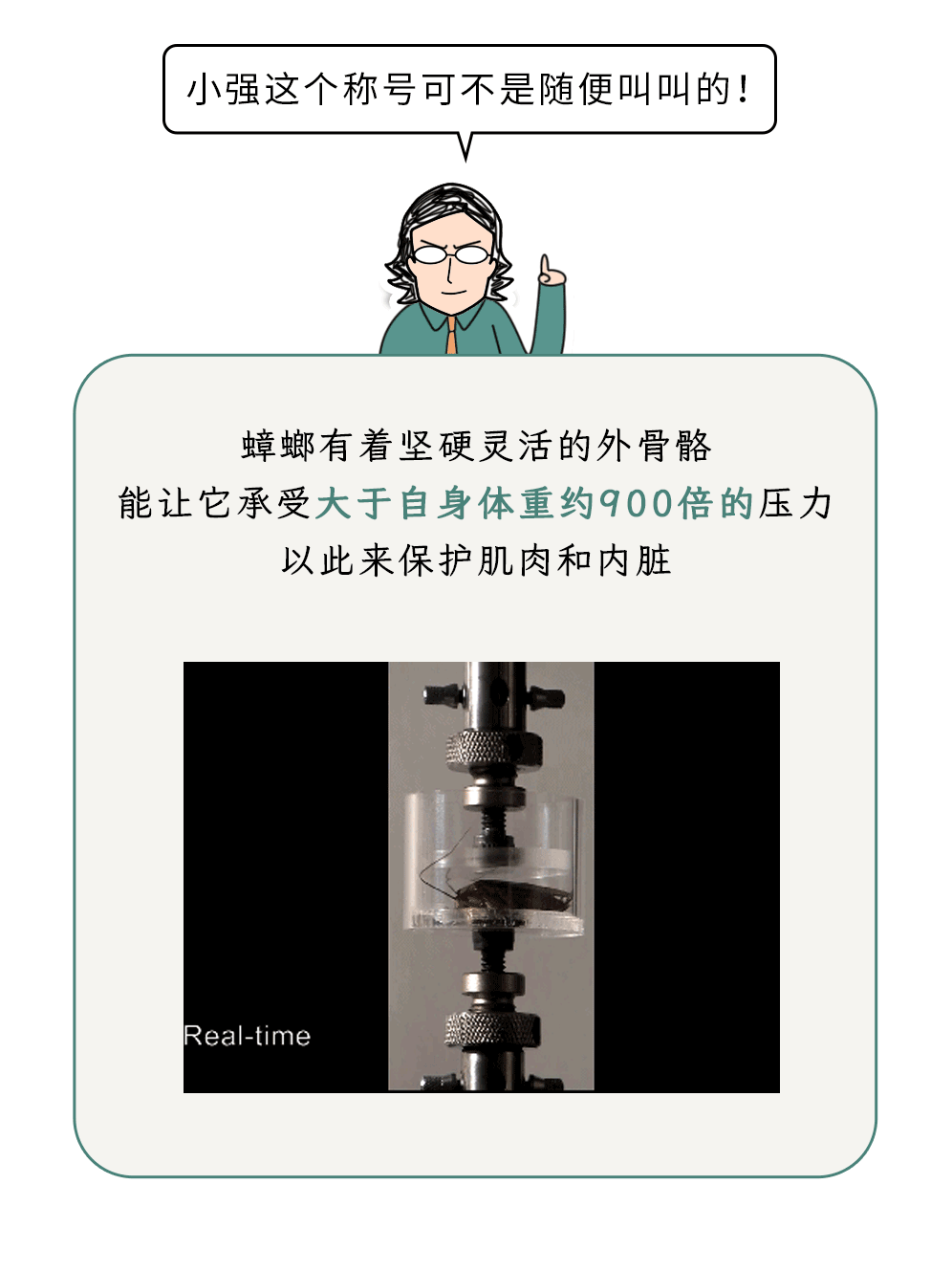 家里踩死的蟑螂，为什么第二天突然消失了？188 / 作者:健康小天使 / 帖子ID:306505