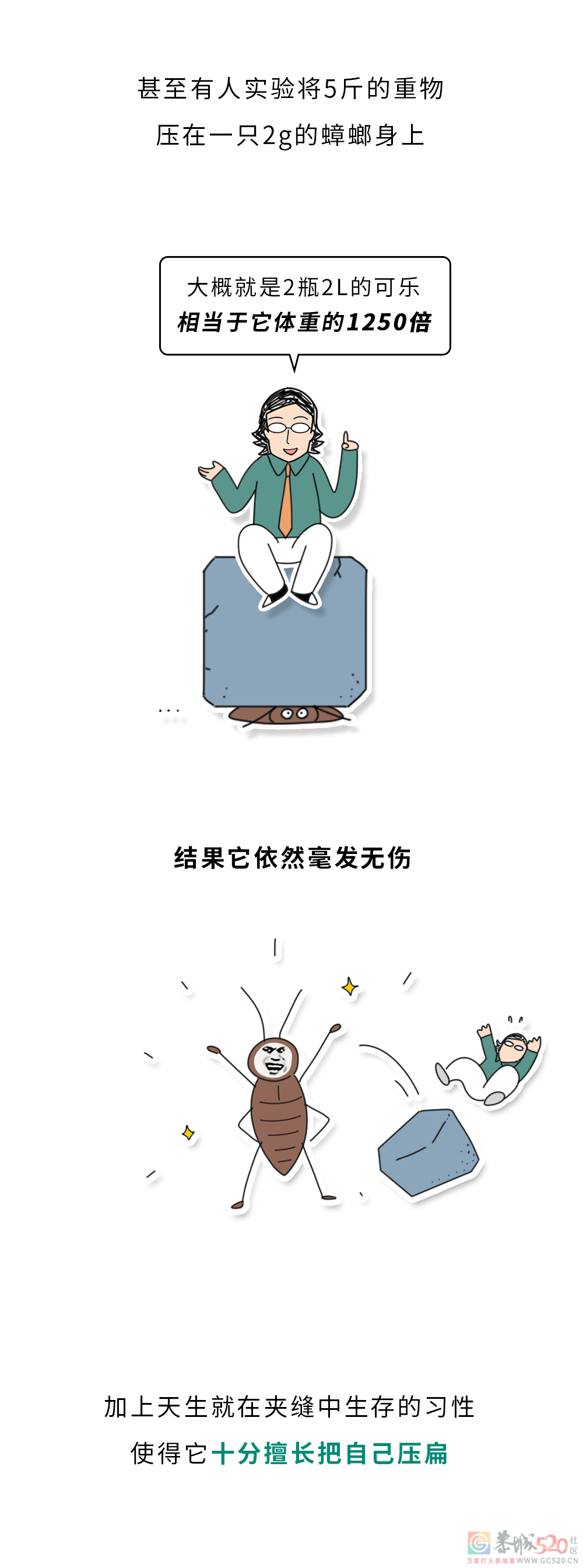 家里踩死的蟑螂，为什么第二天突然消失了？598 / 作者:健康小天使 / 帖子ID:306505