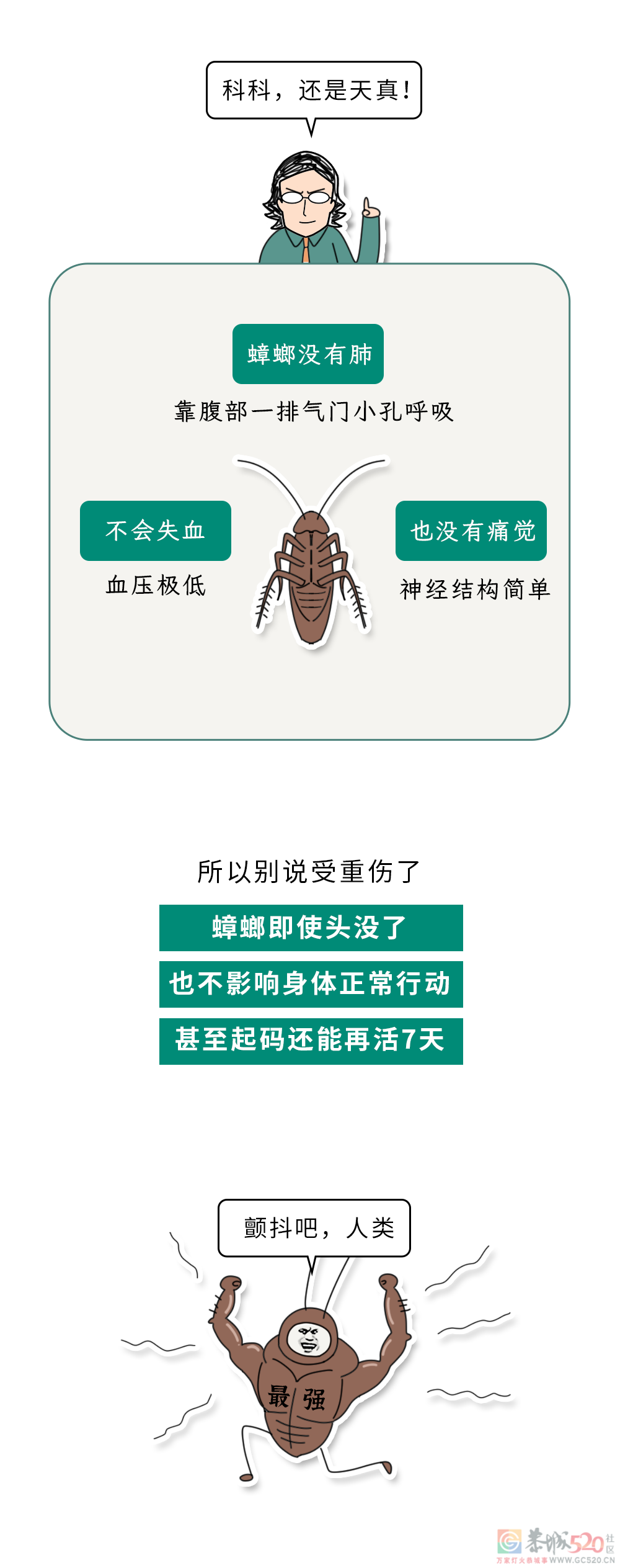 家里踩死的蟑螂，为什么第二天突然消失了？515 / 作者:健康小天使 / 帖子ID:306505
