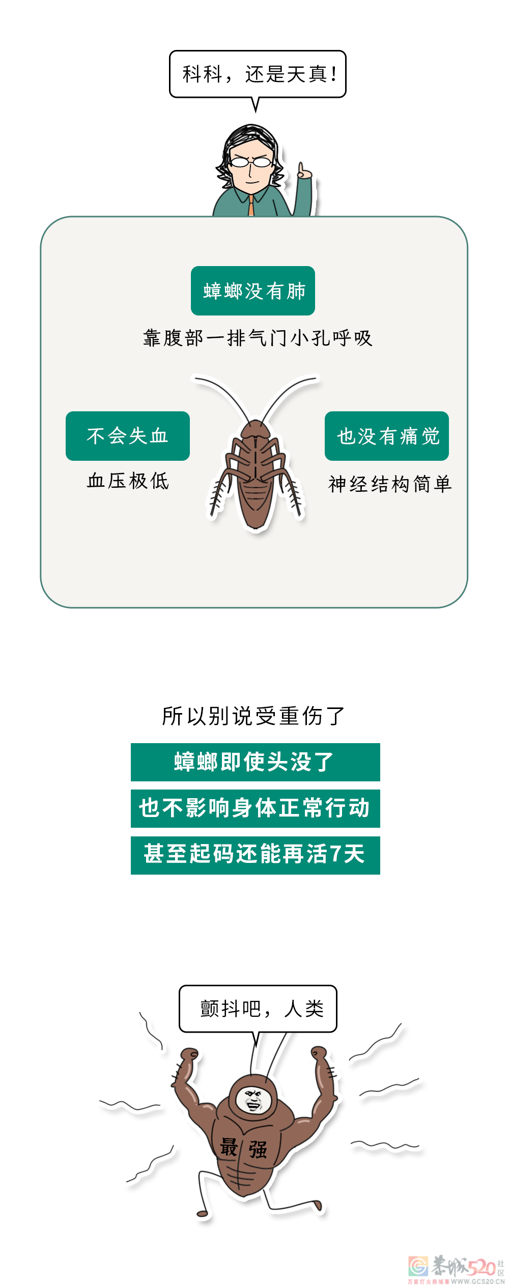 家里踩死的蟑螂，为什么第二天突然消失了？127 / 作者:健康小天使 / 帖子ID:306505