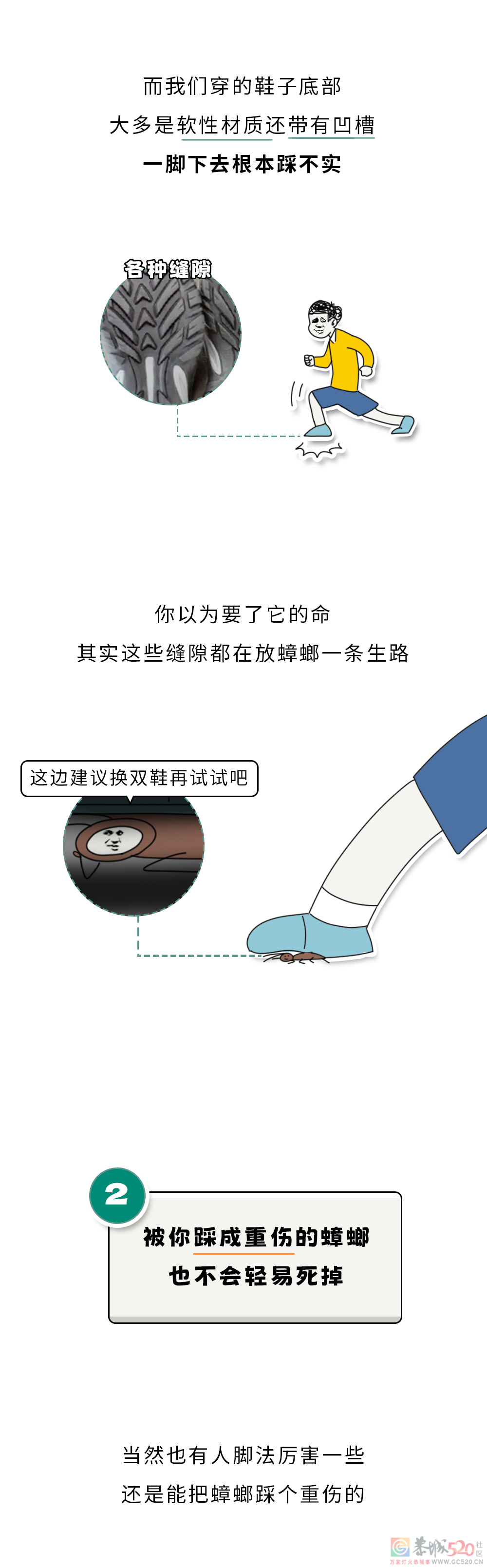 家里踩死的蟑螂，为什么第二天突然消失了？92 / 作者:健康小天使 / 帖子ID:306505