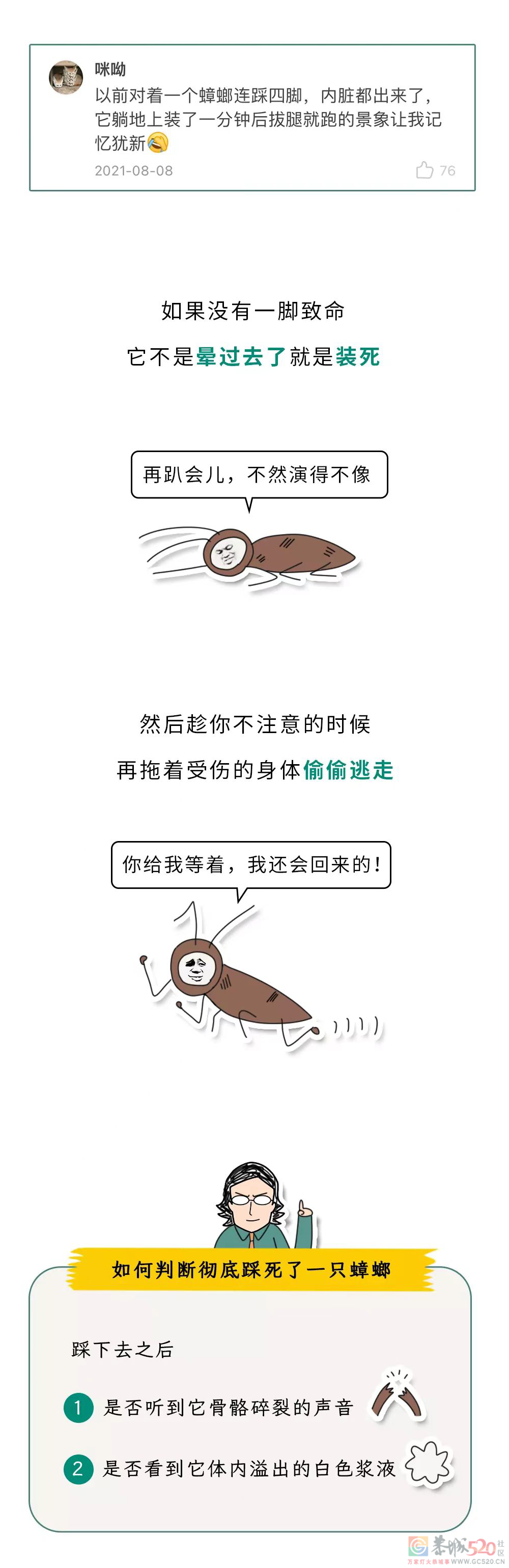 家里踩死的蟑螂，为什么第二天突然消失了？99 / 作者:健康小天使 / 帖子ID:306505