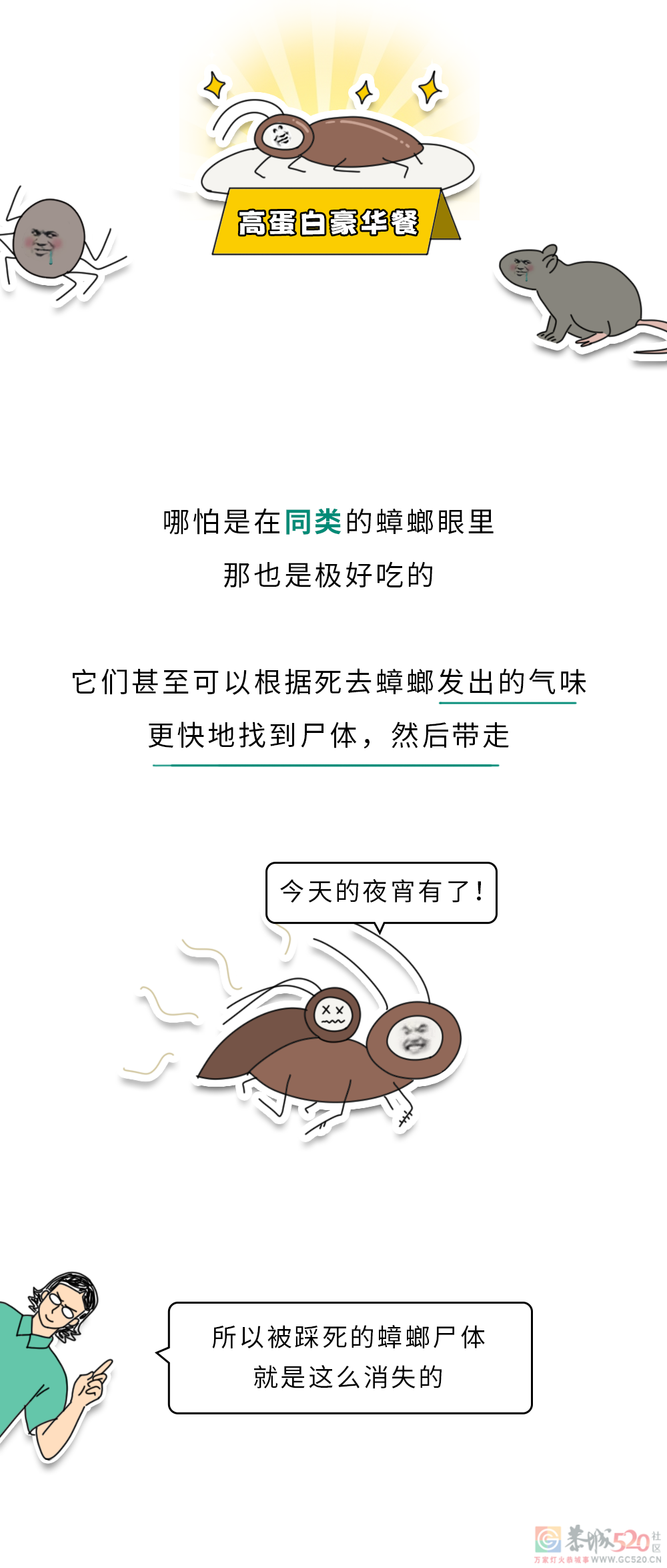 家里踩死的蟑螂，为什么第二天突然消失了？628 / 作者:健康小天使 / 帖子ID:306505