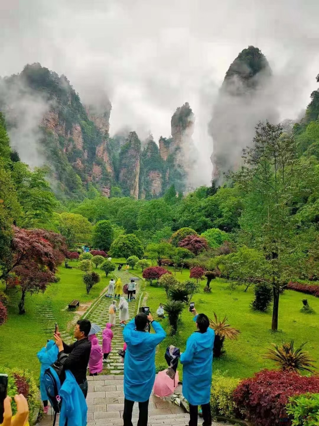 第一次去张家界必看的旅游攻略792 / 作者:天天客栈 / 帖子ID:268974