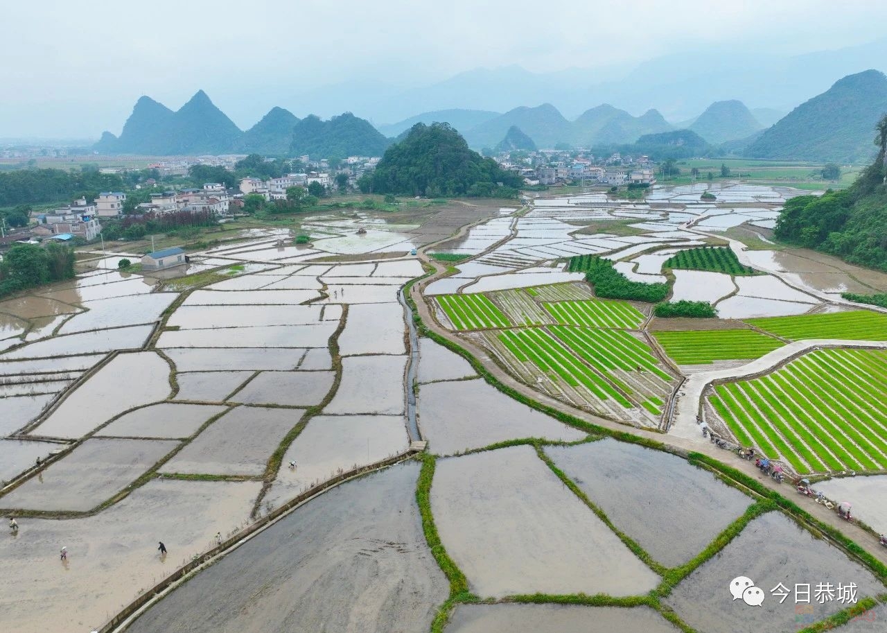 栗木镇石头村：抛秧抛出幸福田13 / 作者:论坛小编01 / 帖子ID:306799