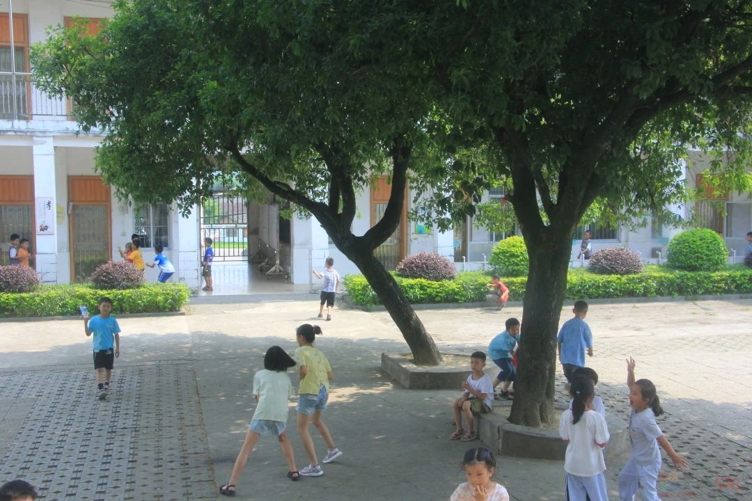 5月31日下午，恭城520社区到北溪小学开展慰问活动764 / 作者:论坛小编01 / 帖子ID:307320