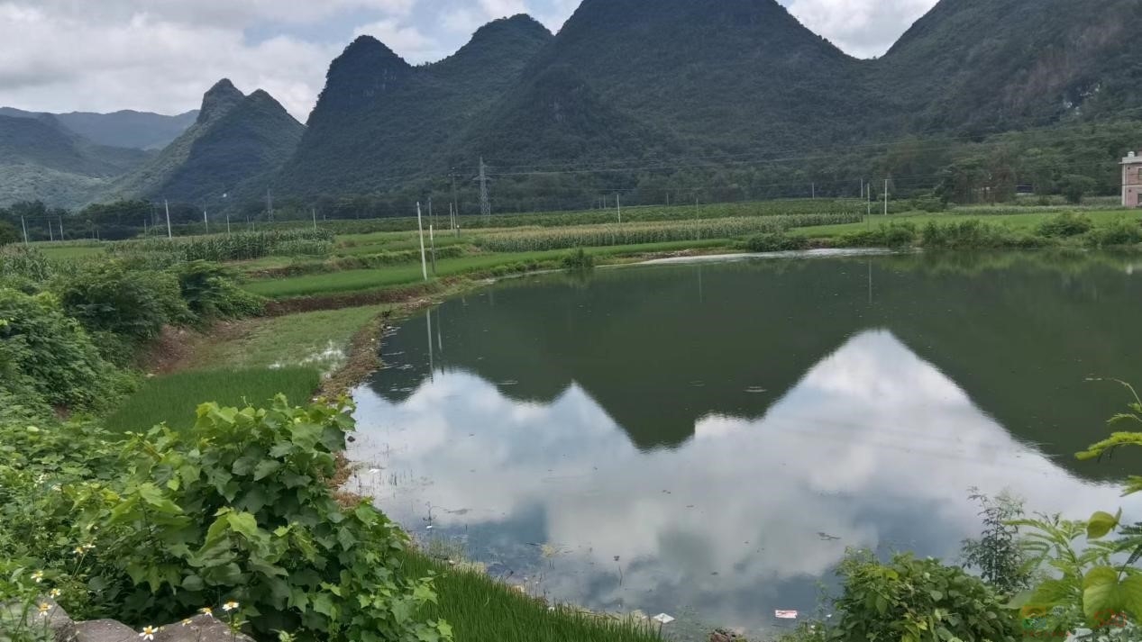 美丽苔塘草龙生55 / 作者:论坛小编01 / 帖子ID:308040