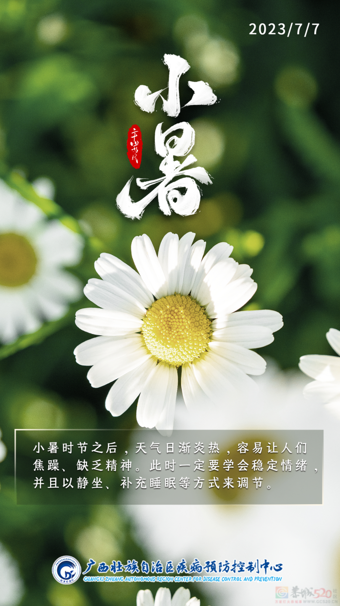 今日小暑｜愿你寻一处清凉，度一场清欢，祝夏安383 / 作者:健康小天使 / 帖子ID:308322