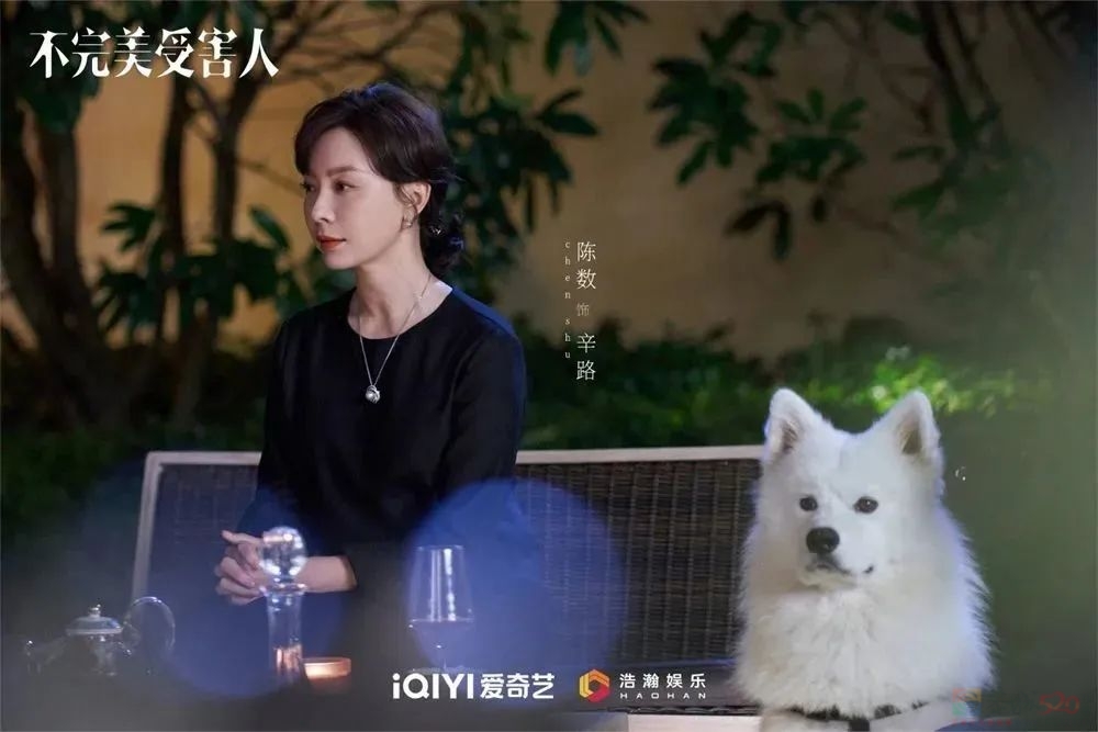 《不完美受害人》：女性题材和创作团队的双向奔赴316 / 作者:该做的事情 / 帖子ID:308691