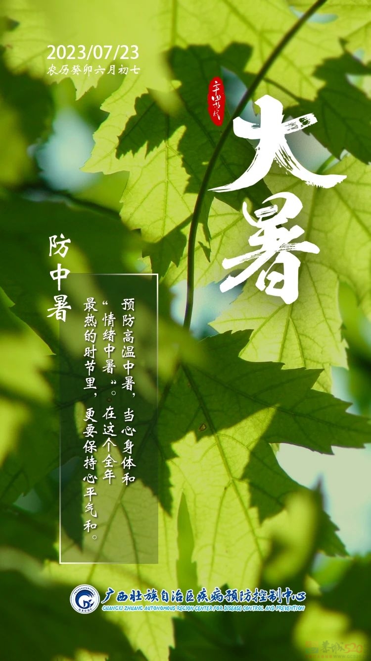 大暑来袭，你的身体需要这些“降暑”小技巧！947 / 作者:健康小天使 / 帖子ID:308747