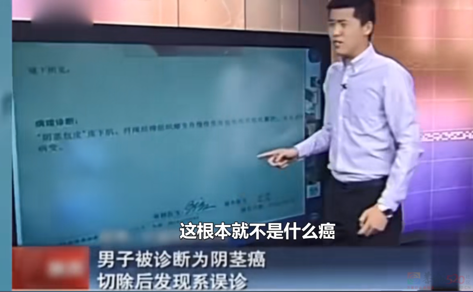 安徽卫视，一种更加符合中国宝宝体质的佛罗里达986 / 作者:儿时的回忆 / 帖子ID:309020