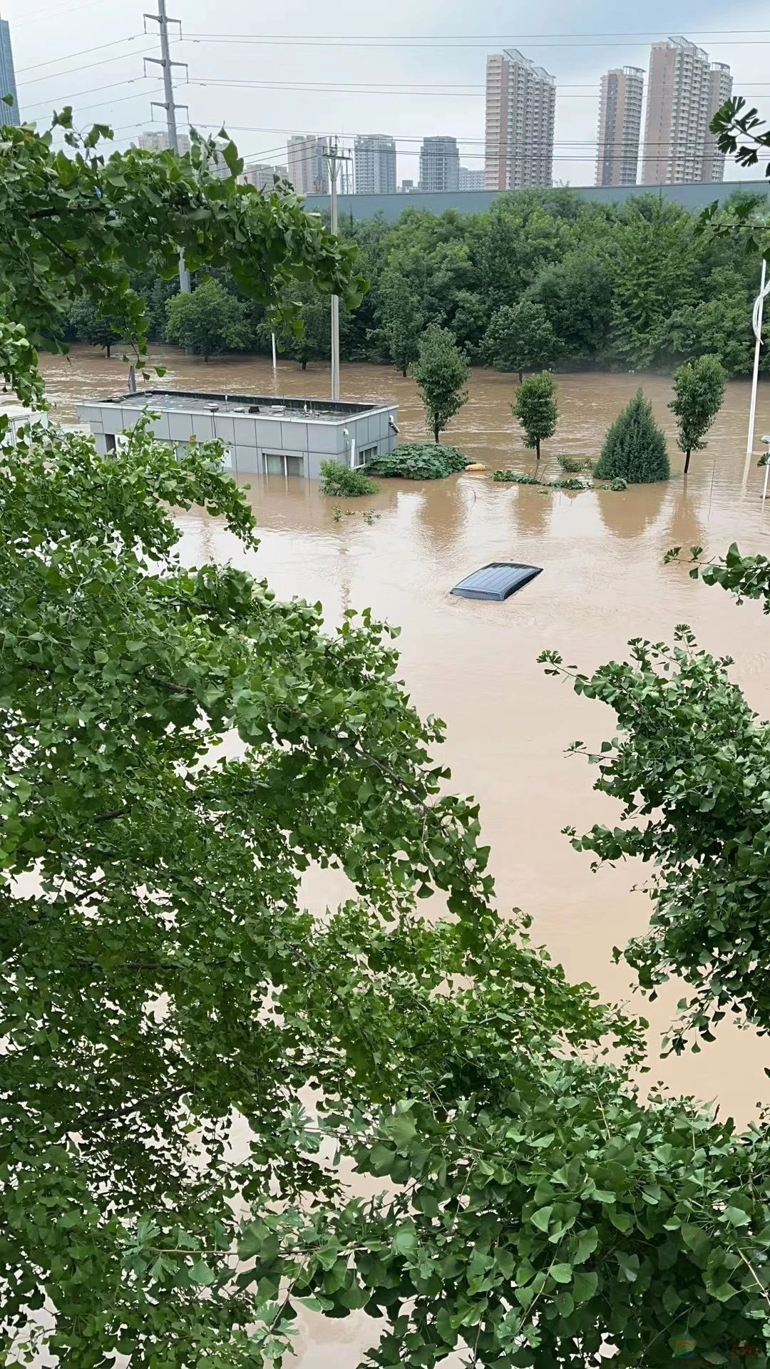 暴雨24小时：洪水吞没涿州书库927 / 作者:儿时的回忆 / 帖子ID:309051