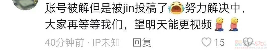 对不起，没猜到最大黑马会是它685 / 作者:该做的事情 / 帖子ID:309208