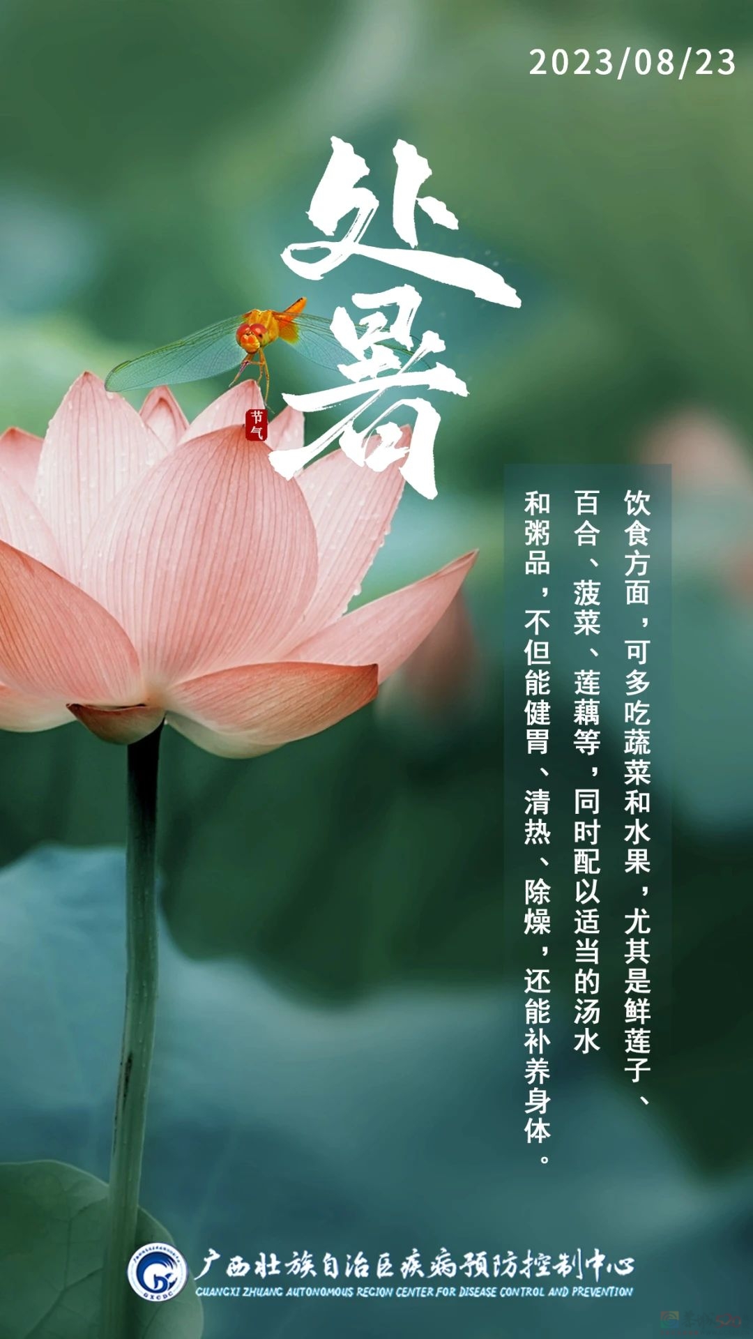 处暑｜袅袅秋风起 最美人间秋629 / 作者:健康小天使 / 帖子ID:309632