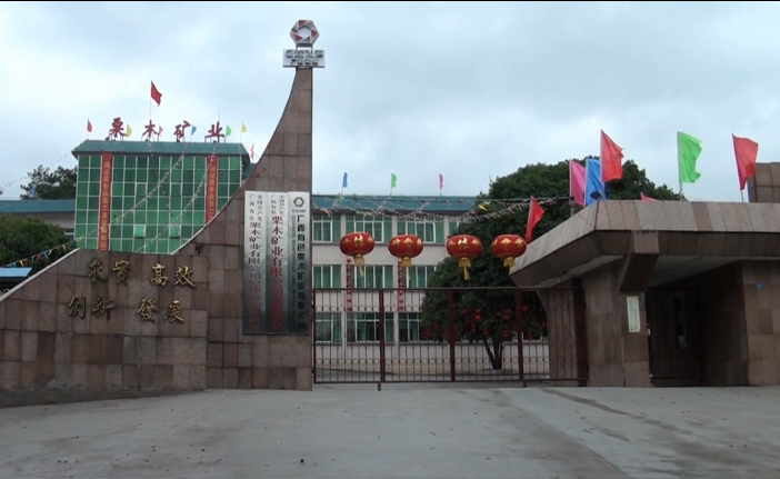 知青之歌589 / 作者:恭城盛唐广告 / 帖子ID:309681