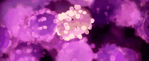 男性更易感染HPV，身上这种「疣」就是典型症状971 / 作者:健康小天使 / 帖子ID:309766